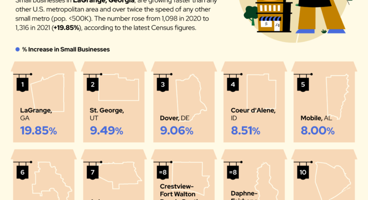 Thriving in the Land of Opportunity: A Guide to Small Business Success in the USA